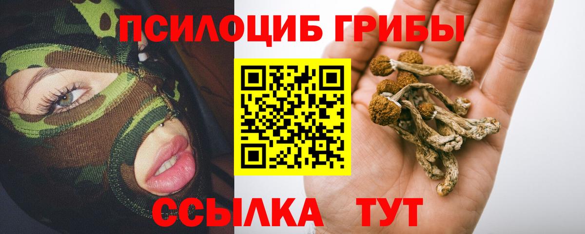 Псилоцибиновые грибы MAGIC MUSHROOMS  Галлюциногенные грибы прущие грибы  Вход с VPN  Чистополь 
